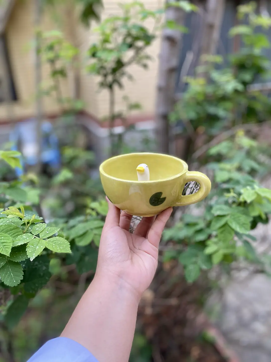 ماگ غاز
