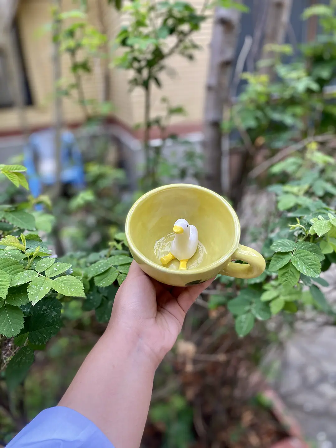 ماگ غاز - تصویر 2