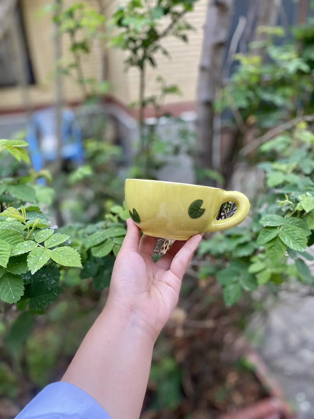 ماگ غاز - تصویر 4
